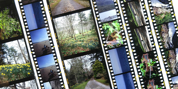e6 slide film exmaple 3