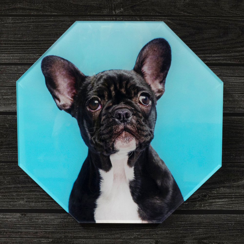 blue dog octagonal acrylic panel